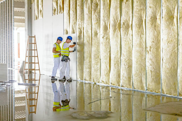 Types of Insulation We Offer in MA